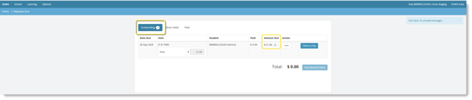 invoice-1